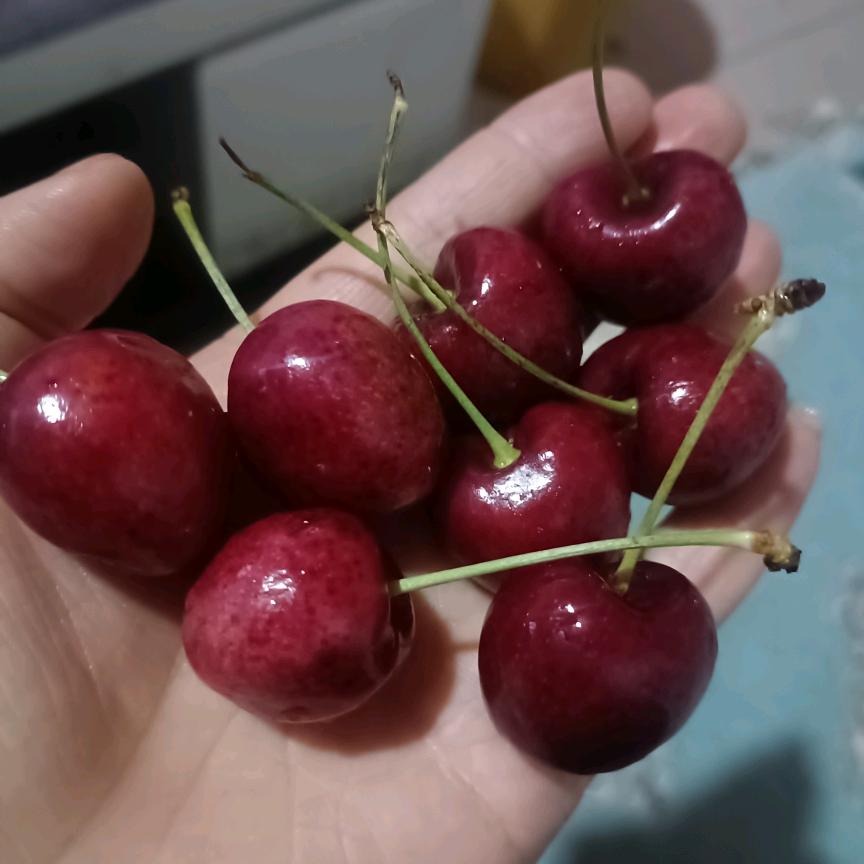 小張吖