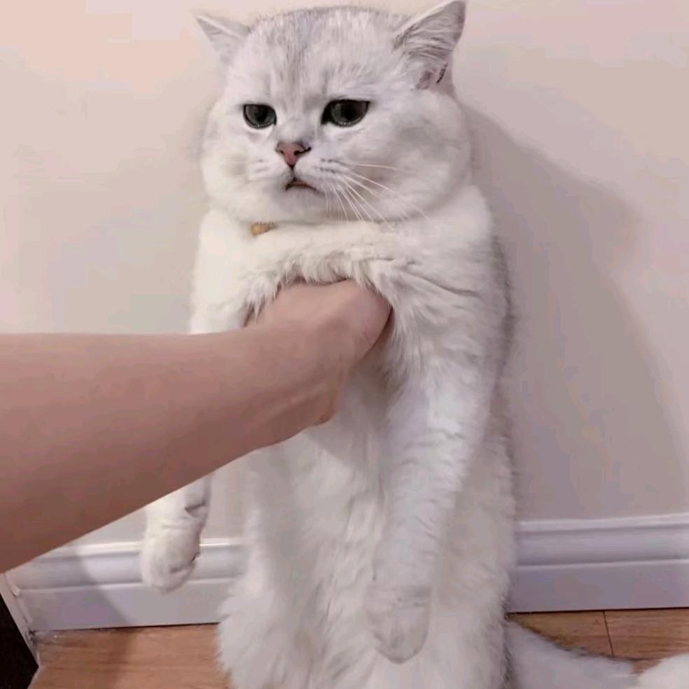 time团队(三角洲行动)