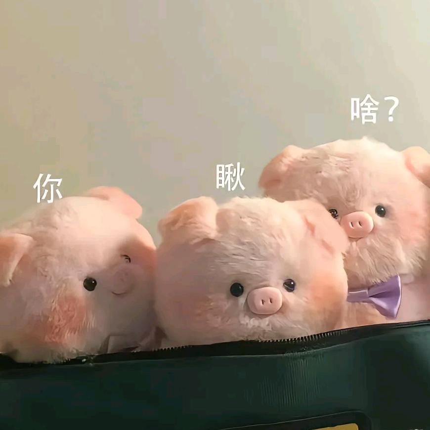 一只超大锦鲤🐠