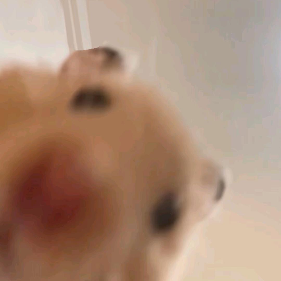 小小ᕙ(⇀‸↼‶)ᕗ