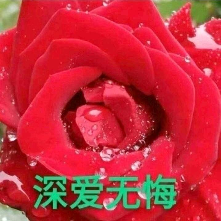 爱在山东💃