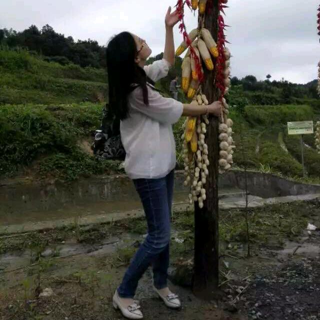 姝美