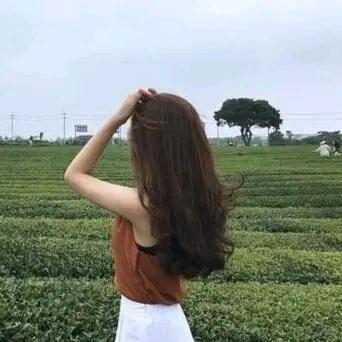 辉县客来福装修晴晴(拒连赞)