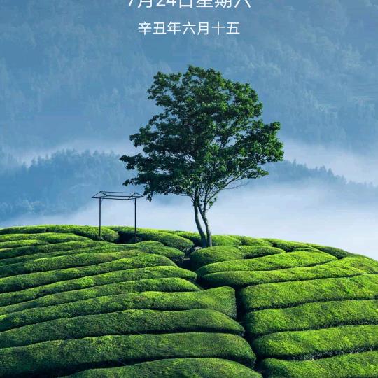那夜你很嗨🐇