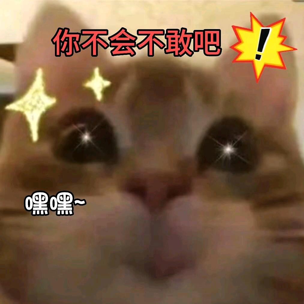 三羊Y