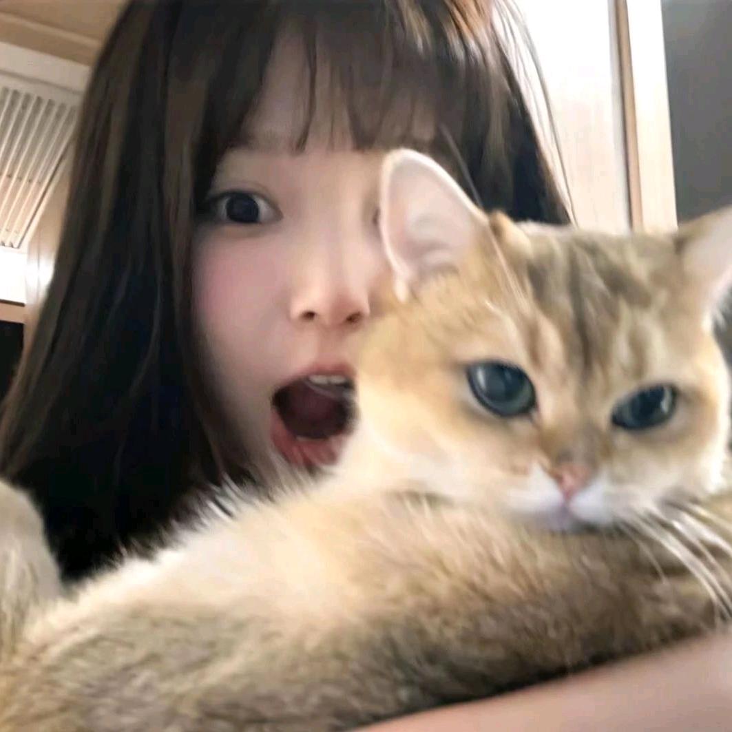 小猫牌芝士