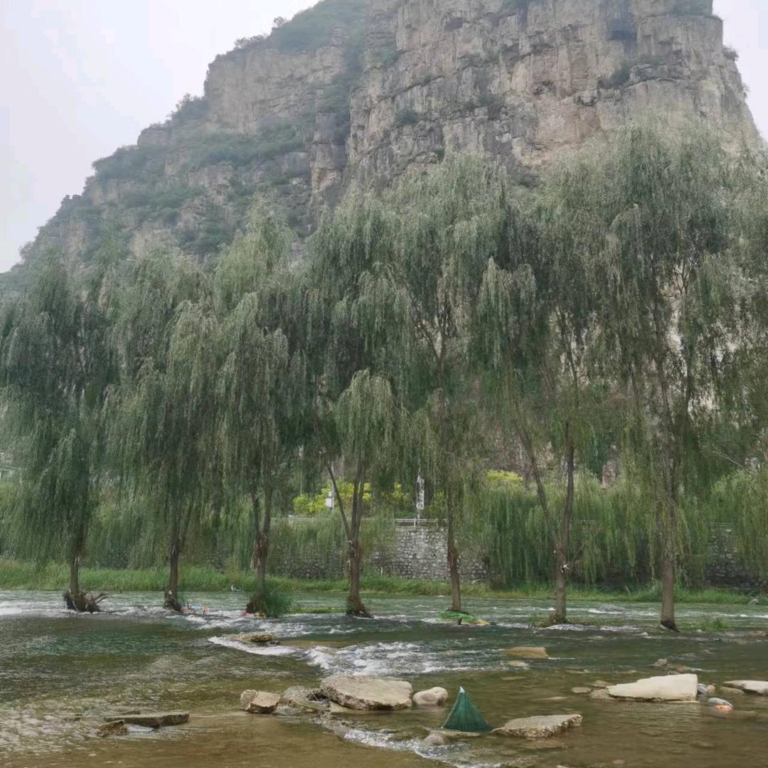 同源福羊蝎子火锅