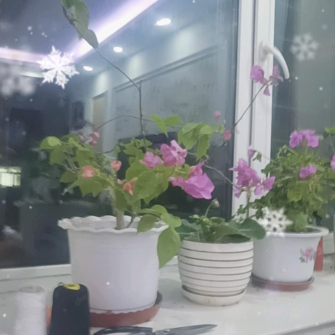 王奶奶