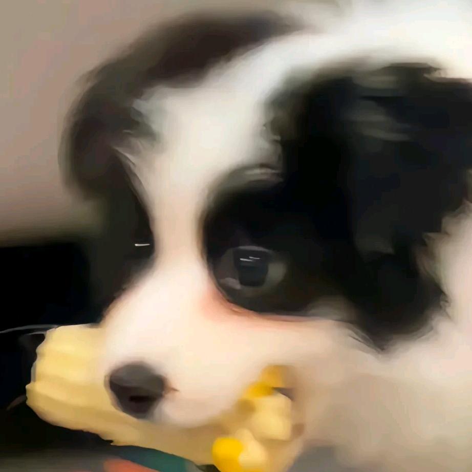嘎嘎die头像