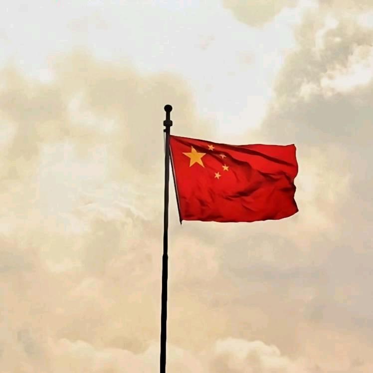 LI（多财多亿）