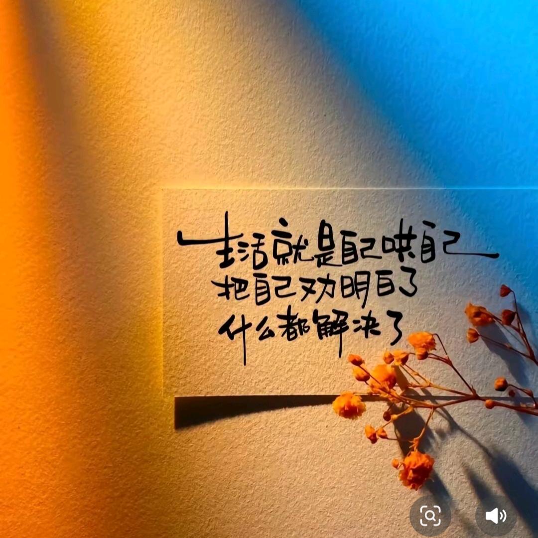 ᝰꫛ半自由ಇ᭄