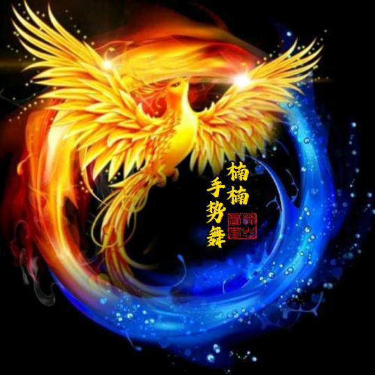 ✨快乐楠楠ˢᶠ✨