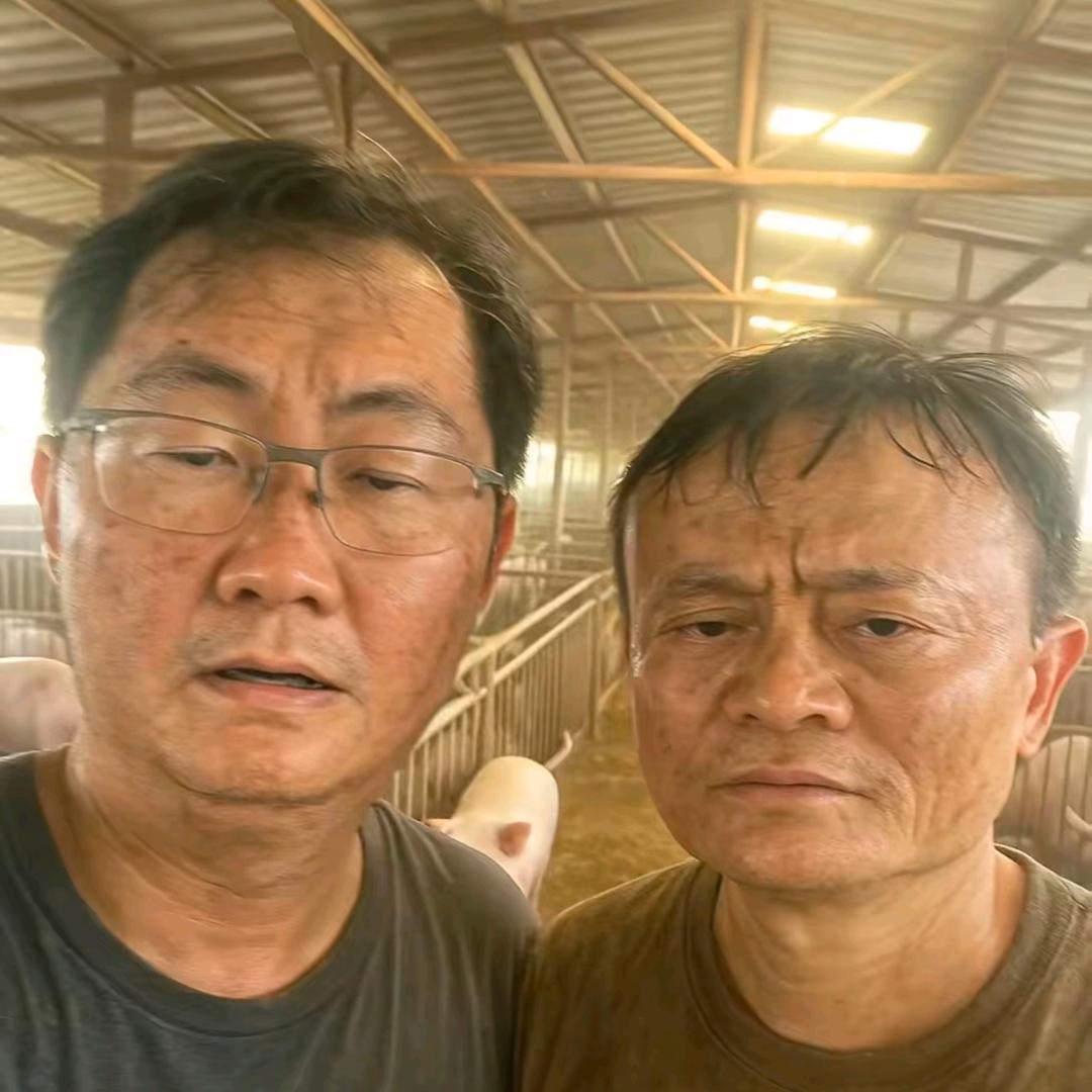 企鹅&家