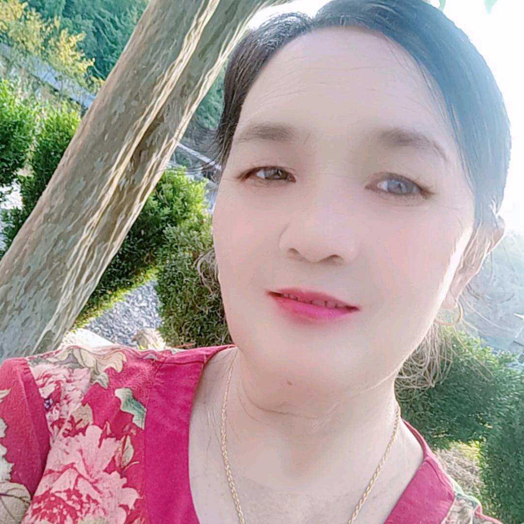 龙姐