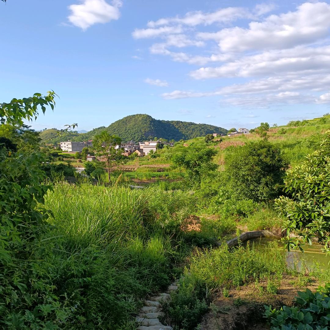 风景如画