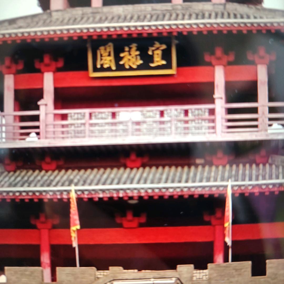 未来的梦想
