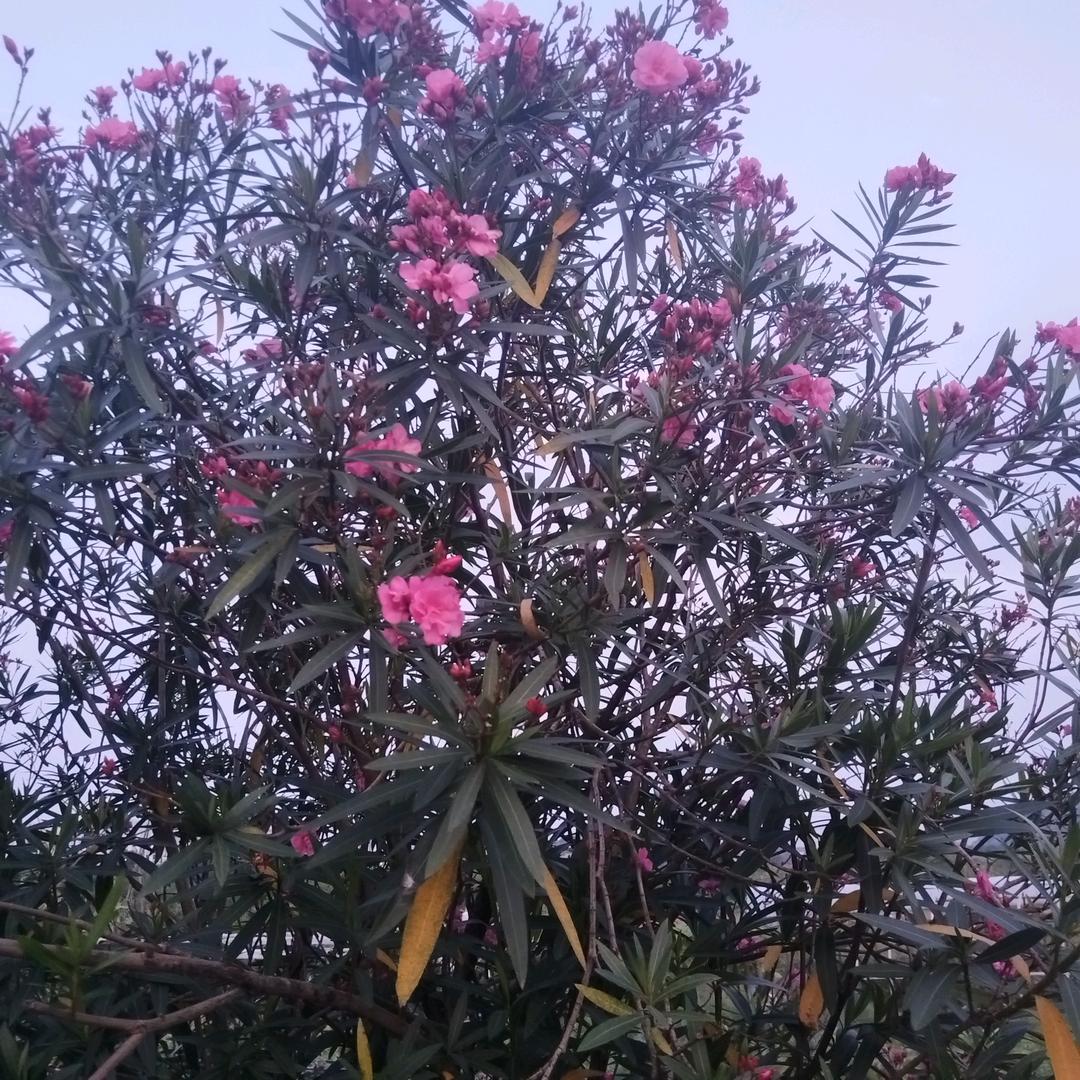 错爱