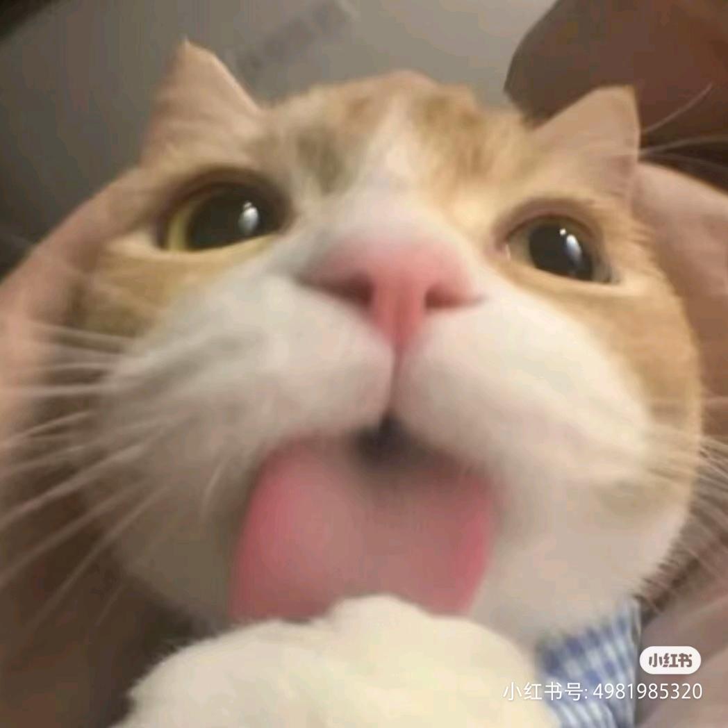 影翼慧眼