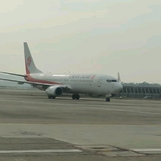 单身