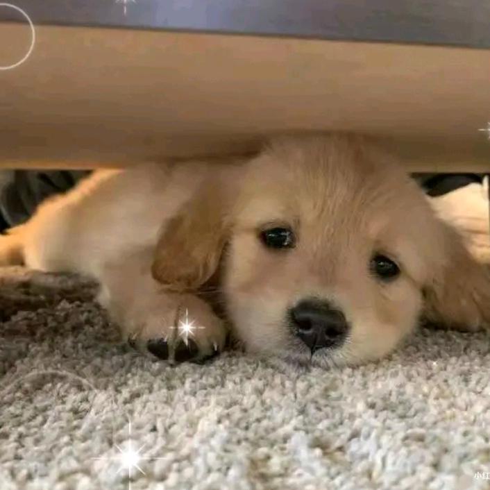 默云（🈲连赞/私自拉群/ 艾特）