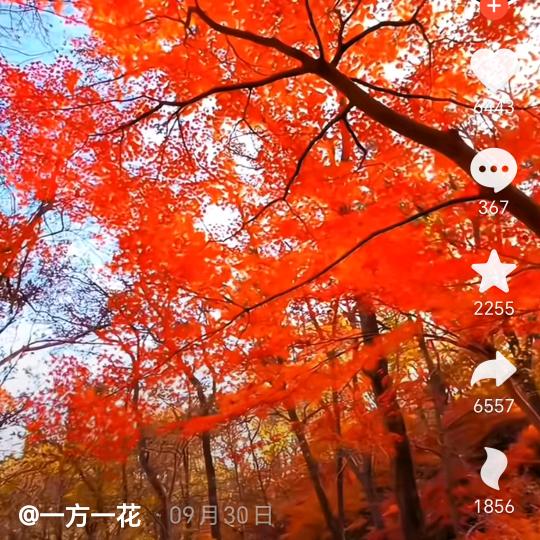 专业彩钢瓦喷漆，大门喷漆