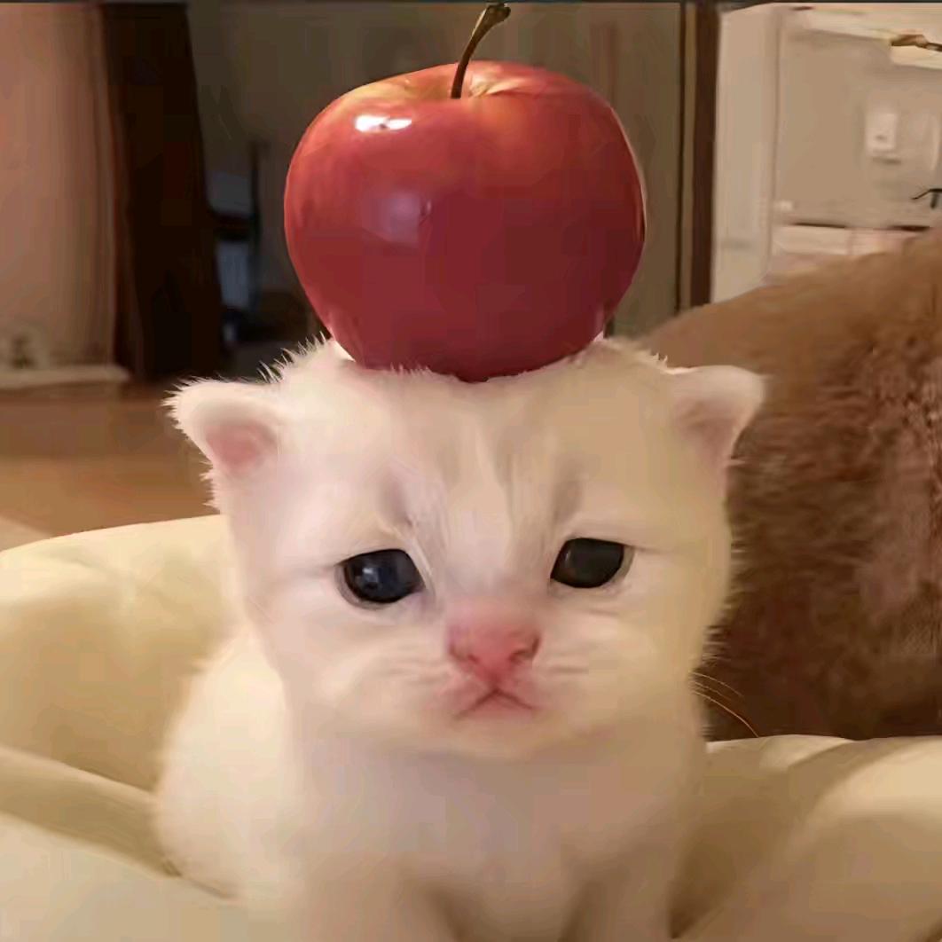 阿波罗.