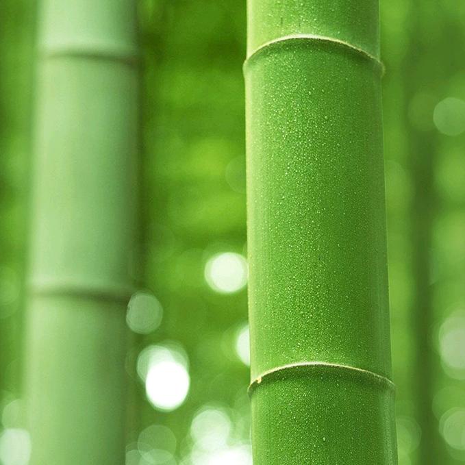 车到山前必有路