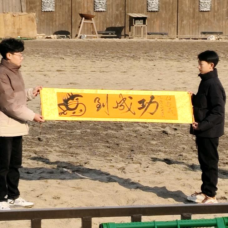 随心所欲