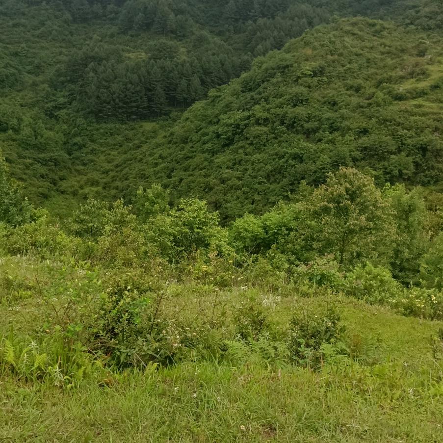 啊 健 zho