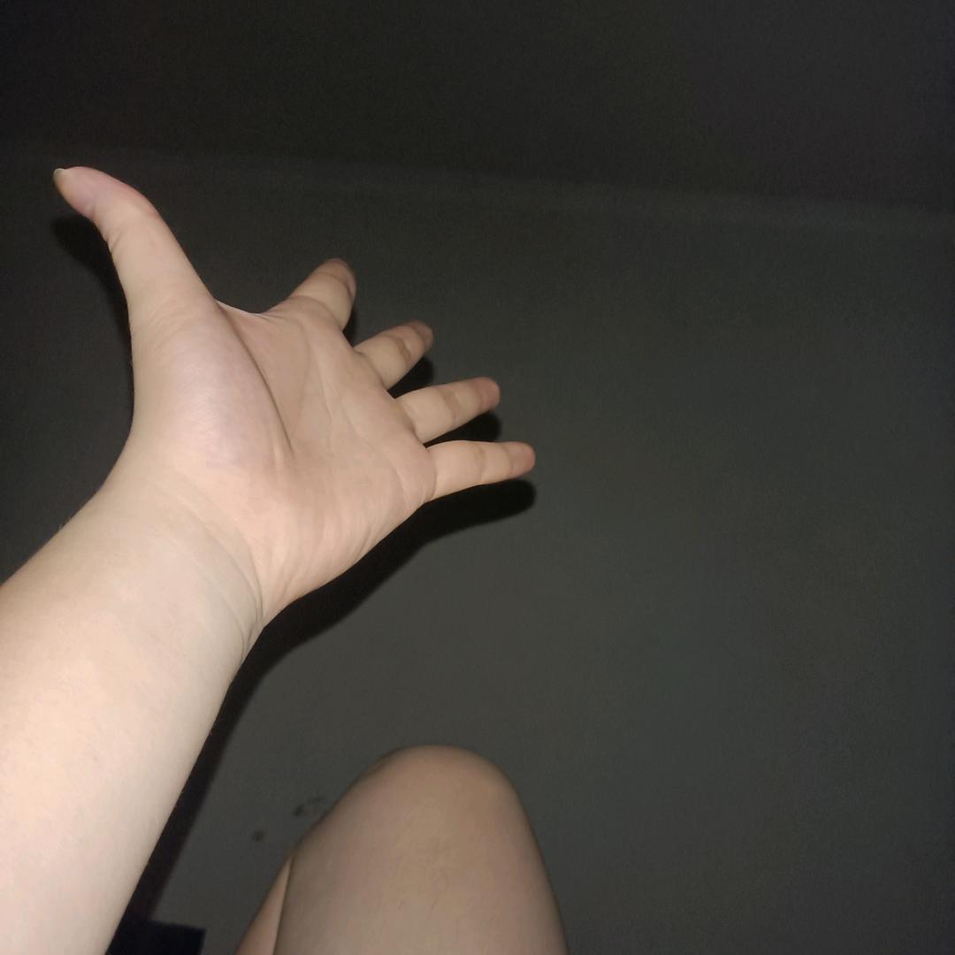 安静的二哈