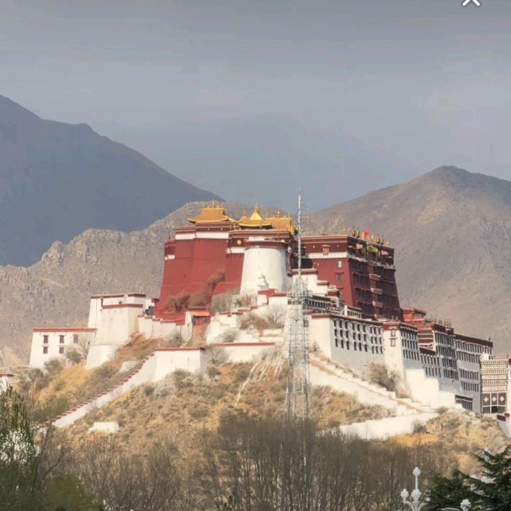 抖音巡视员〈不想抖了〉