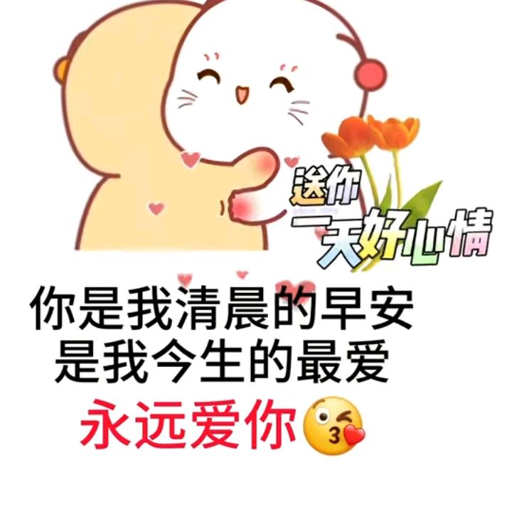 金不换无糖🍊