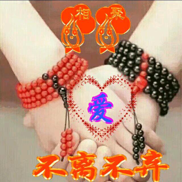 🌹风的自由🌷