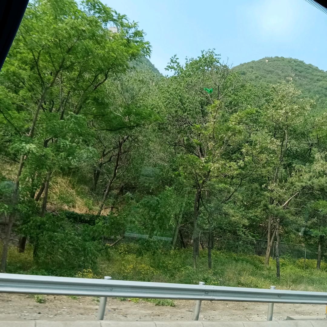 晚上的月亮