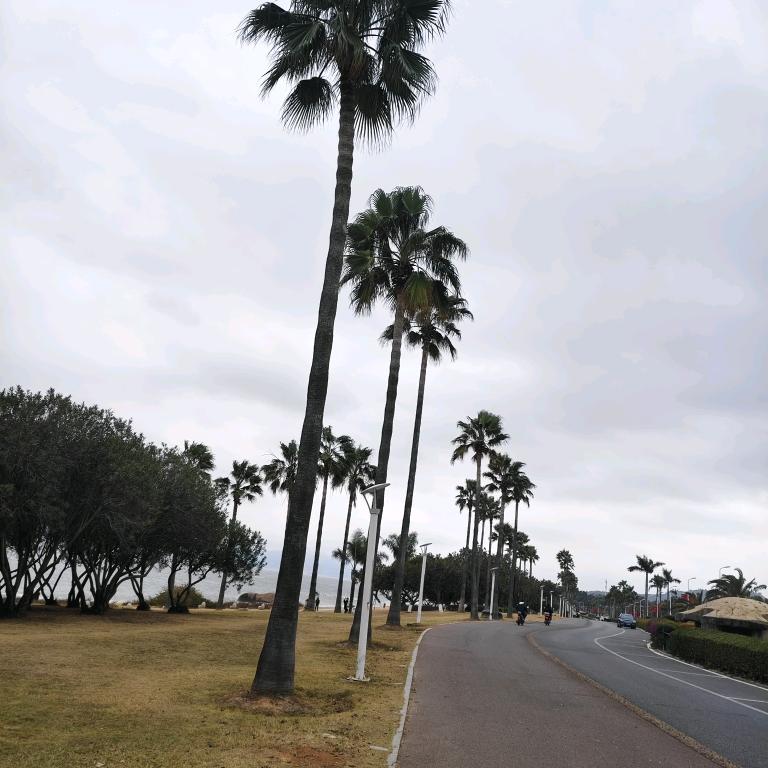 🖤楊🐑得亿💰