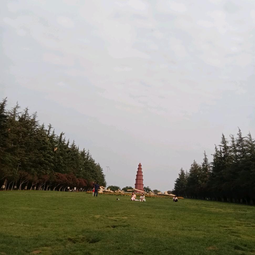 野肆小强哥