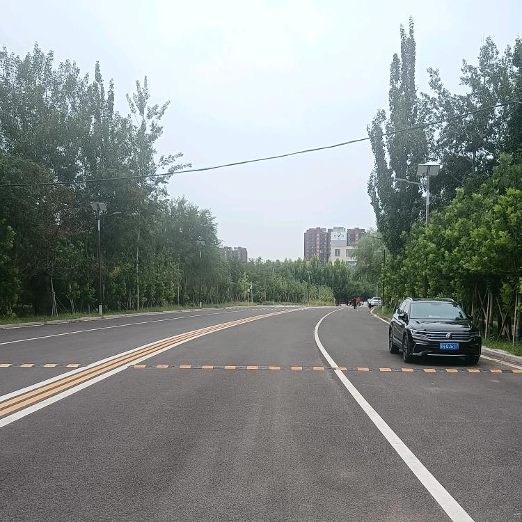 李