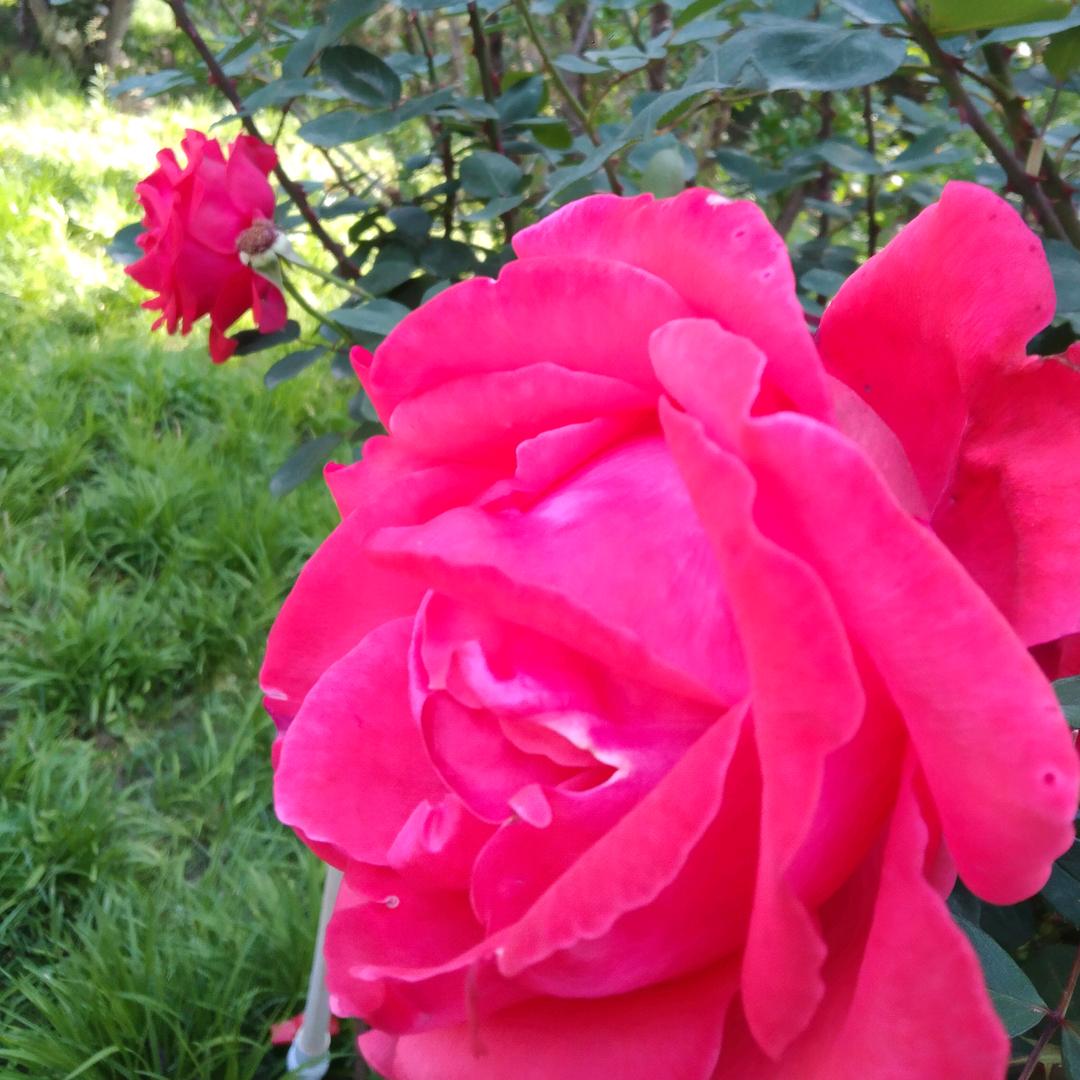 💋一切随缘💋