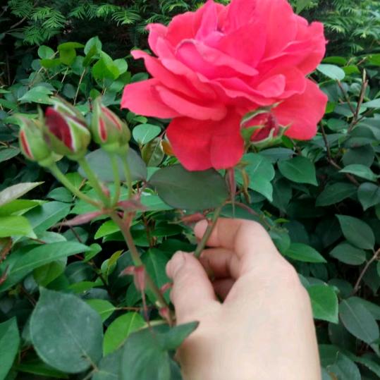 ((❤️一笑而过❤️))