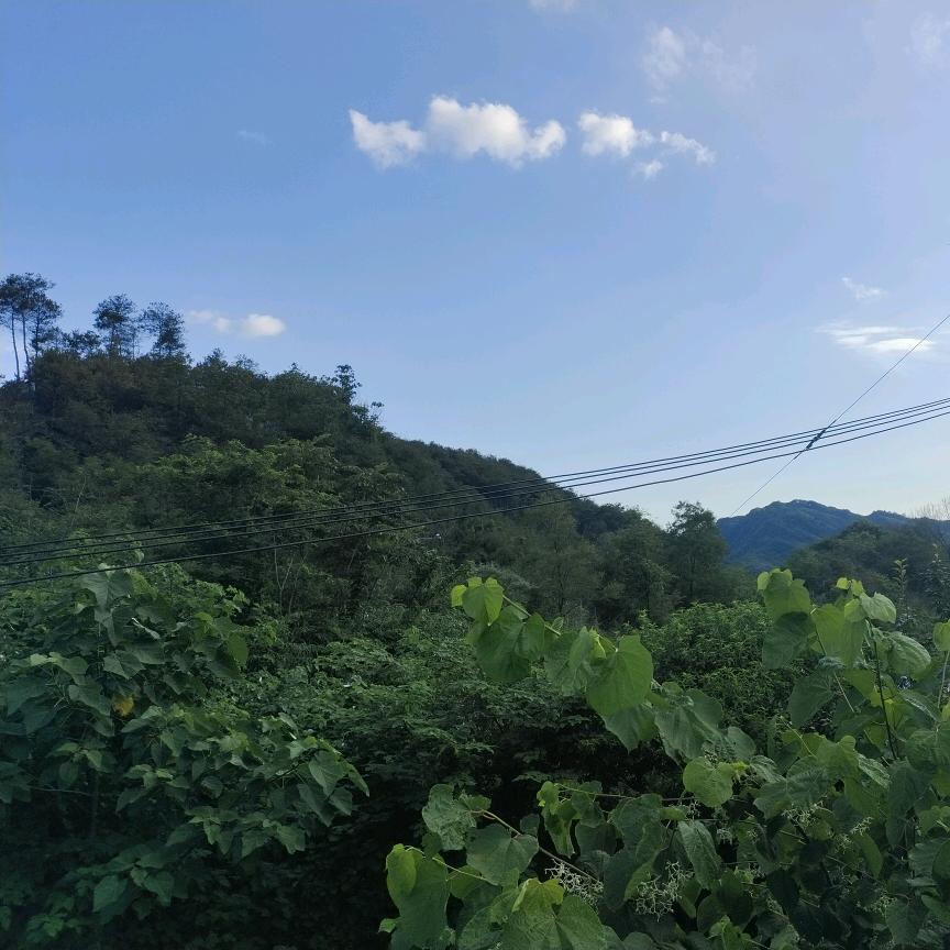 生日快乐
