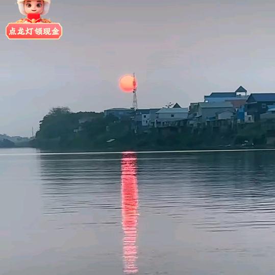龙哥