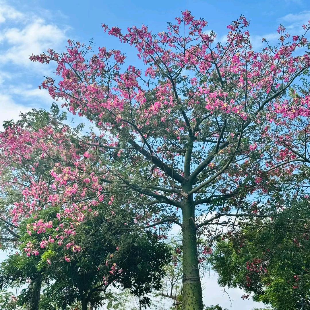 糊涂不涂鸦'  (ͼ̤͂ ͜ ͽ̤͂)✧