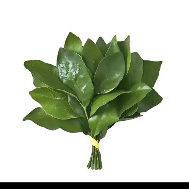 小小怪将军