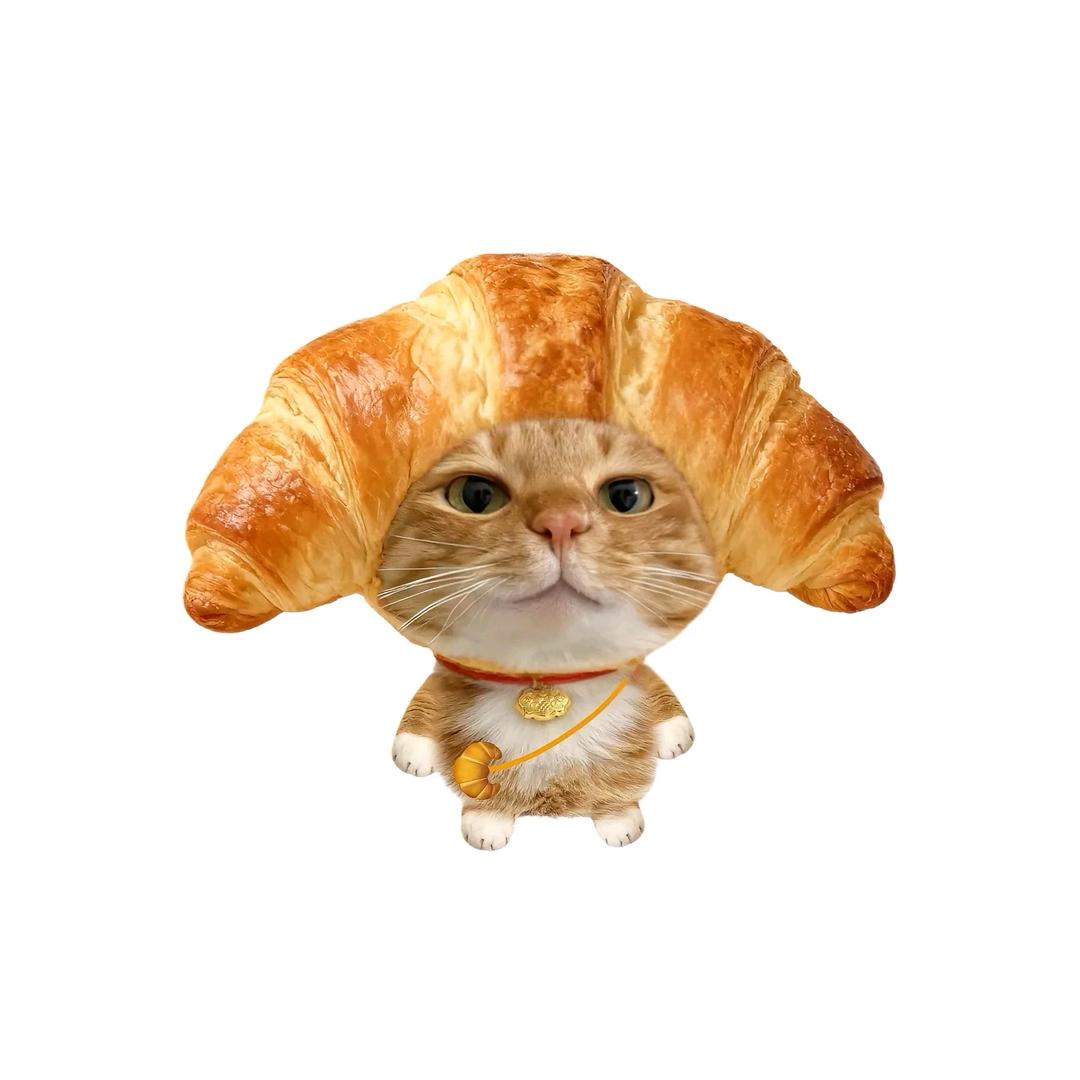 财神爷的心尖儿宠