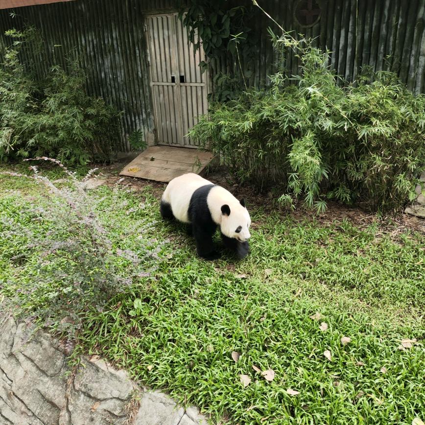 浅木、头像
