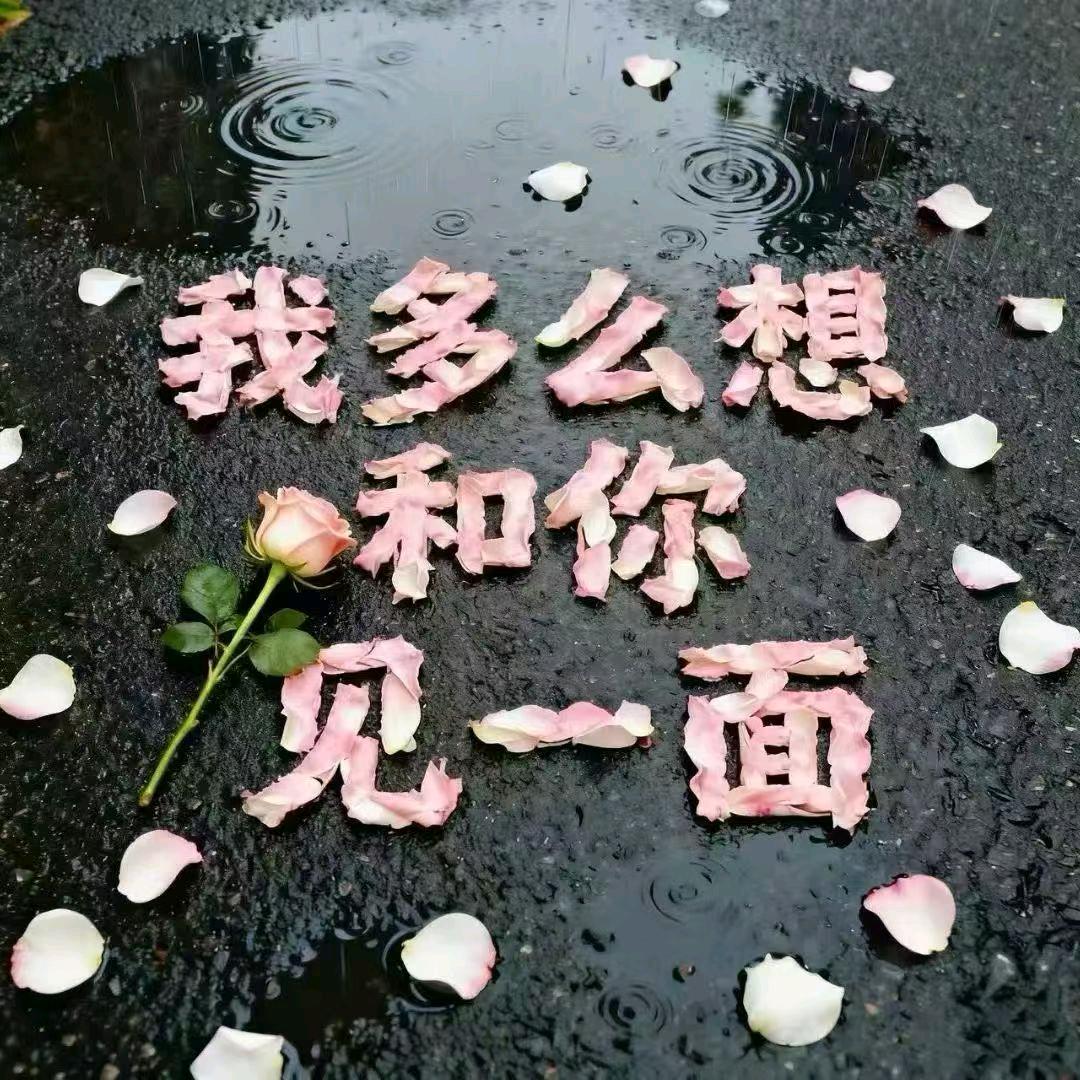 小七呐