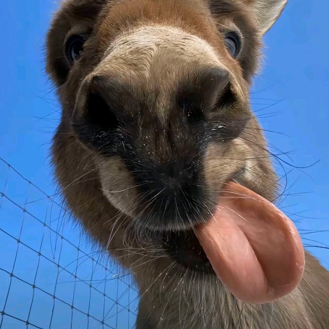 好心情