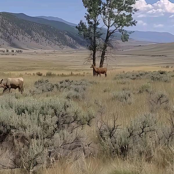 清风科技有限公司-小沐宠粉号