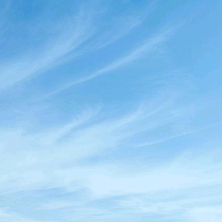 渡涯风