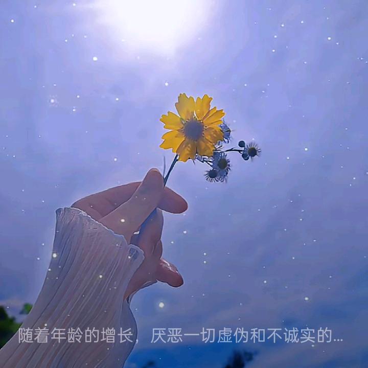 🌷🌷
